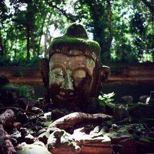 024:还能不能去泰国?爽完爽吃好险!
