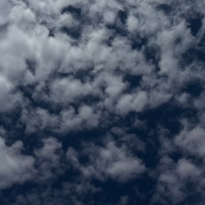 055-因为没有爱📖才把性变成了问题