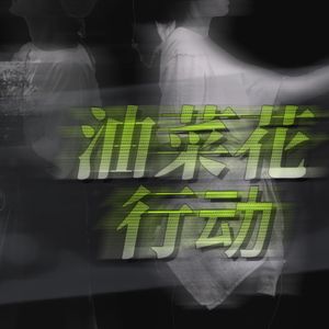 油菜花行动