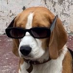 迪迦的光跟我借