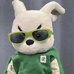 不是山谷__
