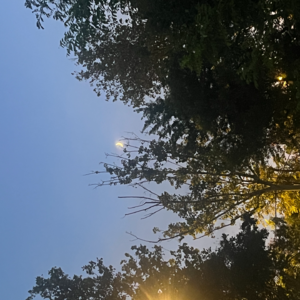 E009 战胜恐惧和困难，我们终将成为理想中的自己