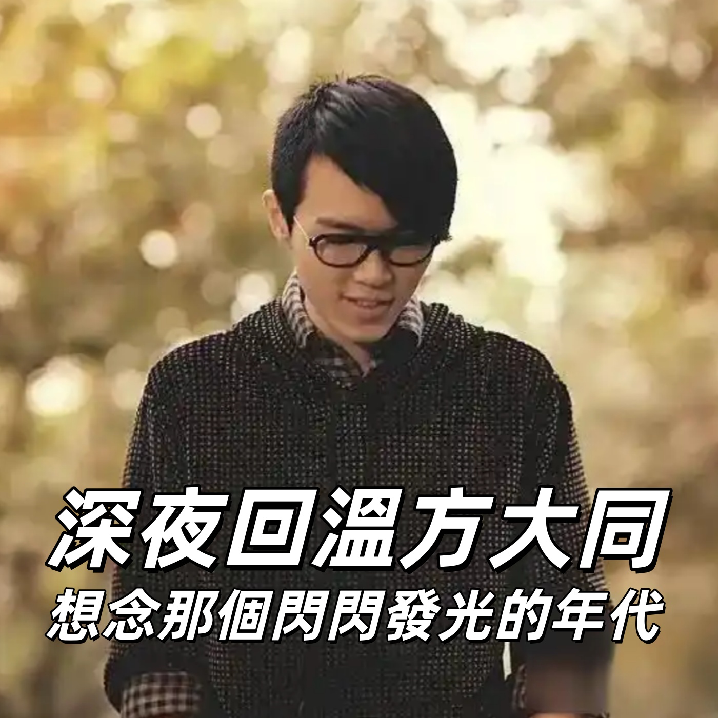 深夜回温方大同，想念那个闪闪发光的时代！| 深夜电话17-不眠夜 episode artwork