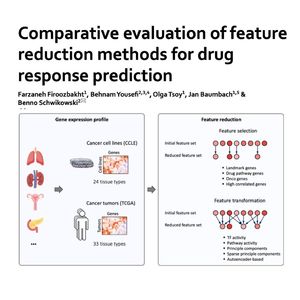 1140-Evaluating Feature Reduction Methods for Drug model