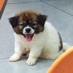 慢慢会更快