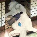 icedgk