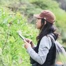 惊奇岛