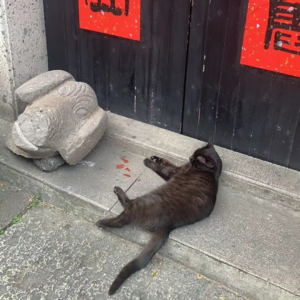 夏天的第一个月,感觉如何