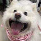 瑤yaole