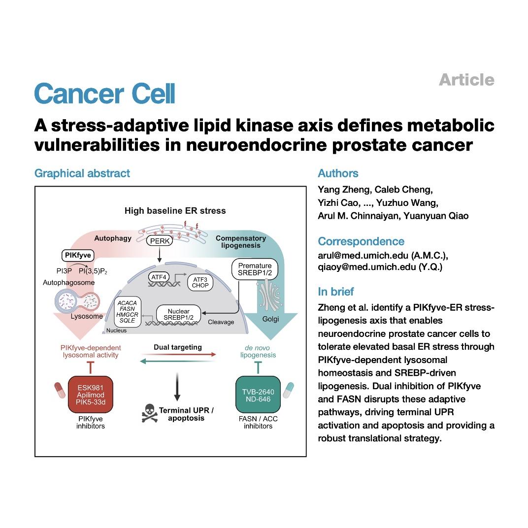 1522-Targeting PIKfyve-ER Stress Axis in Prostate Cancer episode artwork