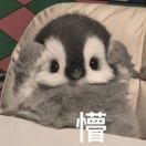 名字正在输入中