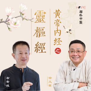 解读《灵枢经》25 肝经的独到之处和大指（趾）的应象解密