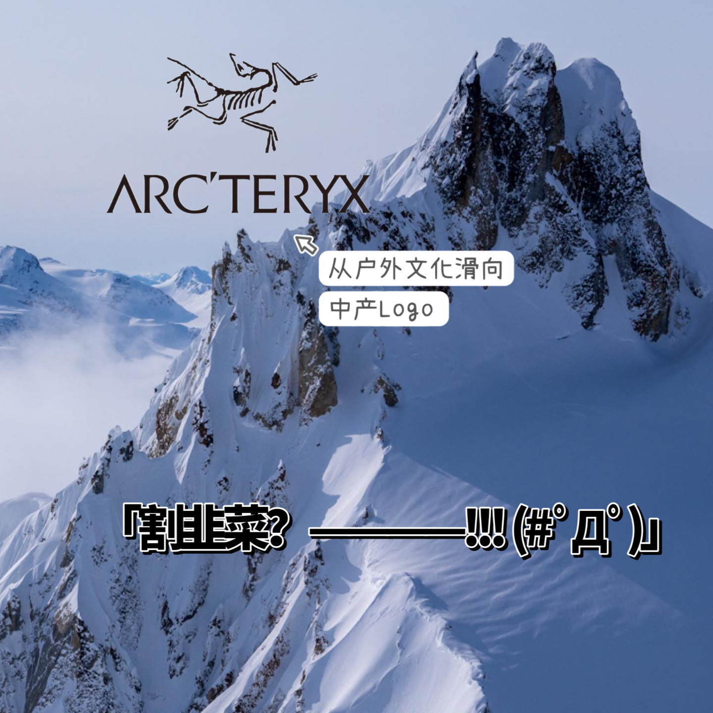 三问始祖鸟：从户外情怀滑向中产logo，我们破防了吗？ episode artwork