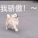 暴躁修勾泰裤辣版