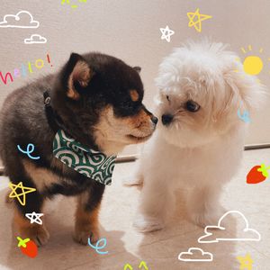 No. 084 - 生活里有粗粝砂石，而那并不是我们放弃的理由 - 嘉宾Qi