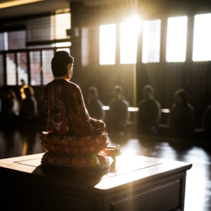 EP35｜禅修五日实录：我在寺庙靠洗厕所功德圆满？