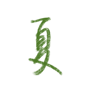 慢性思考 005. 敏感度很高，但我选择在夏天发疯生长！！