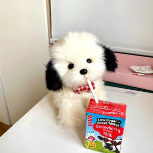 小董的传播学（自）