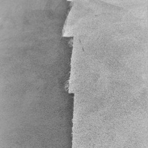 #409 系统性创伤的五大特征（二）