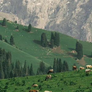 学校教育在人的身心发展中起主导作用的表现