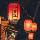 贪婪的多巴胺_82ne