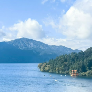 Vol.014 日本之旅review:从繁华都会到自然野趣的关东一周目
