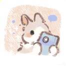 尹楓晴