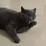 老刘Amy