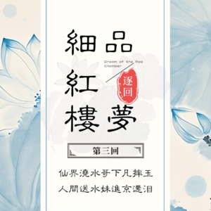 细品红楼梦第三回：向林黛玉学习避雷社交假动作