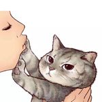 錦鳞