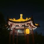 小小小茶杯