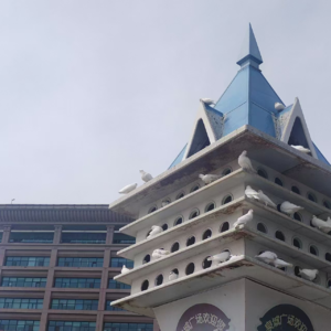1 毕业旅行之人生休止符(上)——JP搭配，旅游不累