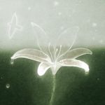-傍晚降雨-