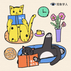 WHY WOMEN KILL ｜叶真中显的「恶女」文学