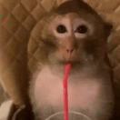 叨叨叨的小神婆