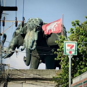Vol.13 泰国曼谷🇹🇭 | 纸醉金迷，灯红酒绿，Hot city Bangkok!