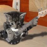 小耳朵竖起来nm