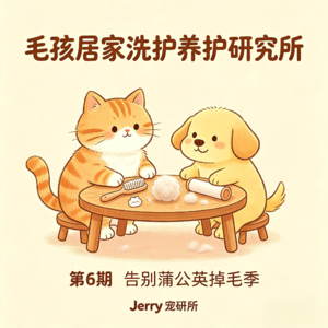 【毛孩居家洗护养护研究所】 第 6 期 告别蒲公英掉毛季|饮食 + 洗护 + 梳毛 + 环境四维改善异常掉毛