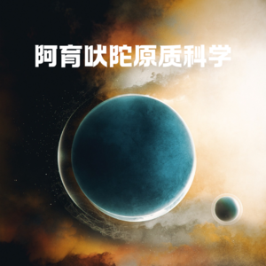 《阿育吠陀原质科学》