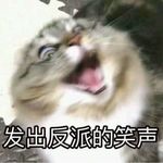 喵呜咩咩