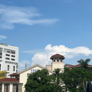 5.音乐欣赏：房东的猫_孟慧圆+-+凤凰花开的路口