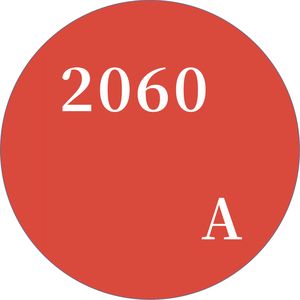 2060影响力投资咨询