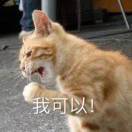 三花田园