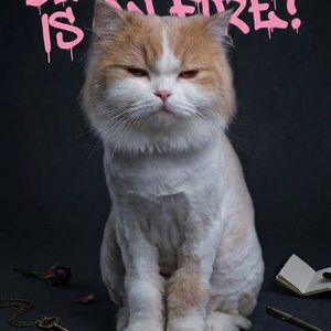 西游记（1）美猴王-孙悟空