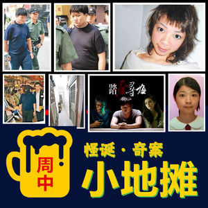 【香港】2008年「王嘉梅命案」,《踏血寻梅》真实原型，17岁少女离奇失联，牵出轰动全港的骇人凶案