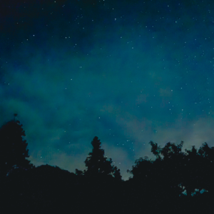 星辰旷野的森林夜曲 🌌 Celestial Grassfield