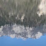 小笼包_6lVD