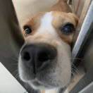 么得感情也么得钱