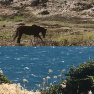 035|走过的风景,是我们生命中流动的盛宴