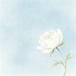 杭白芍